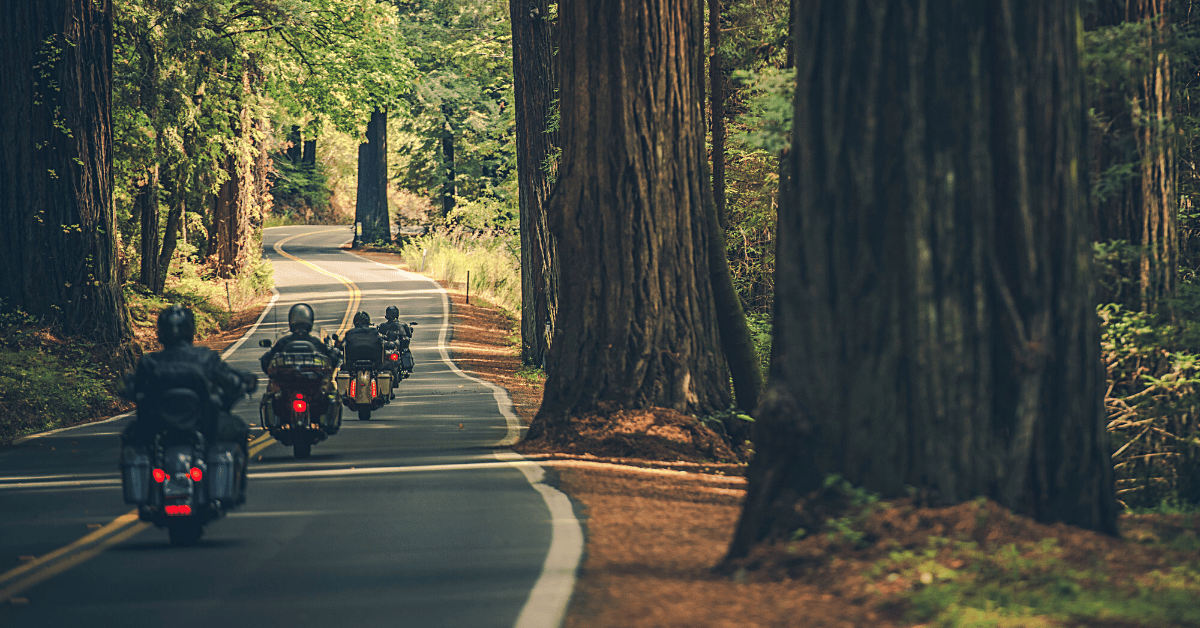 Motorcycle ride in the Northern California Redwoods