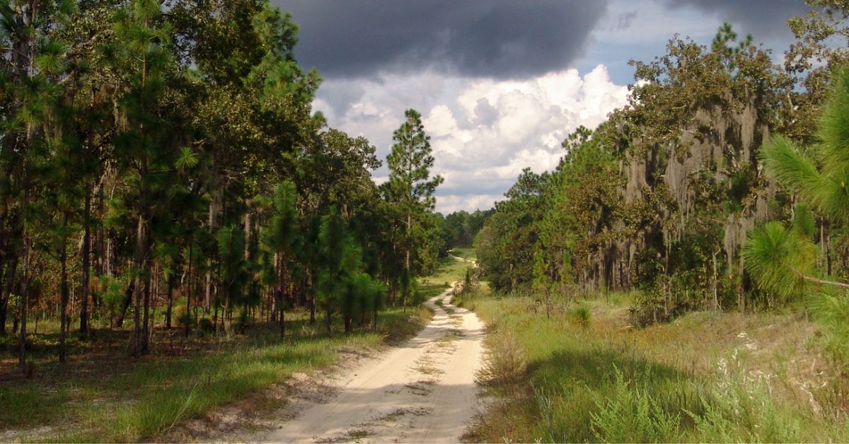 Off-road Trails at the Croom Motorcycle Area