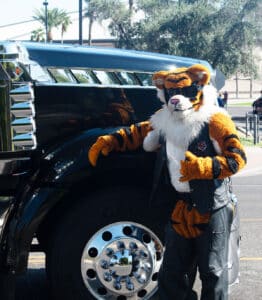 The Law Tigers Tank the Tiger will attend the AZ Veterans Day Parade.